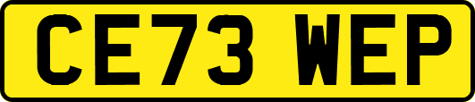 CE73WEP