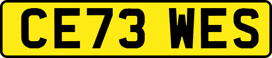 CE73WES