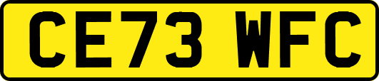 CE73WFC