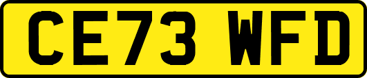 CE73WFD