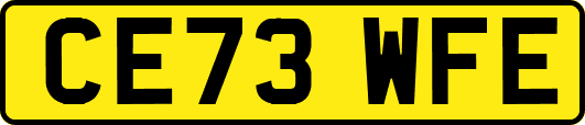 CE73WFE
