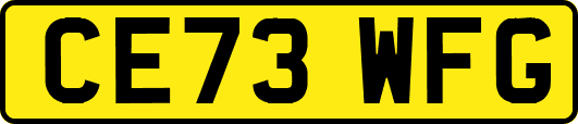 CE73WFG