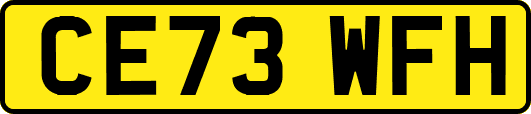CE73WFH