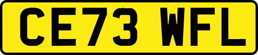 CE73WFL