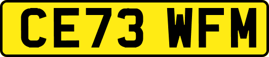 CE73WFM