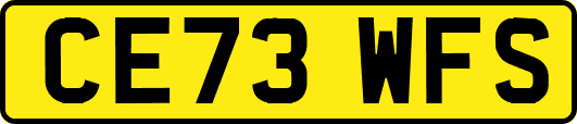 CE73WFS