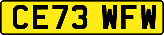 CE73WFW