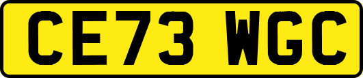 CE73WGC