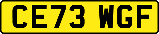 CE73WGF