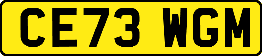 CE73WGM