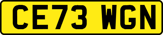 CE73WGN