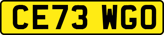 CE73WGO