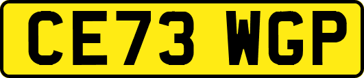 CE73WGP