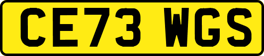 CE73WGS
