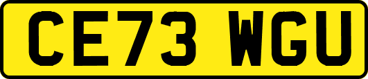 CE73WGU