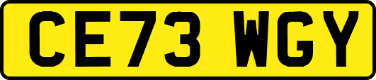 CE73WGY