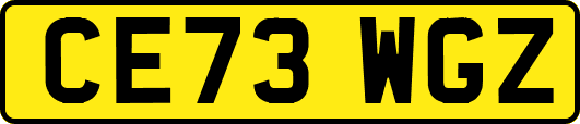 CE73WGZ