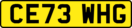 CE73WHG