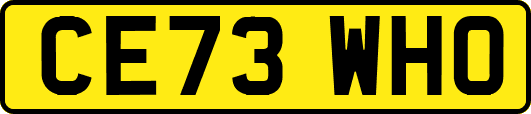 CE73WHO