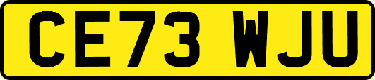 CE73WJU