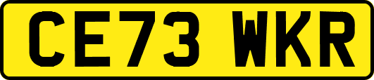 CE73WKR