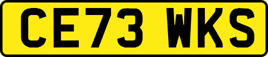 CE73WKS