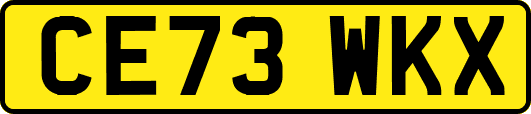 CE73WKX