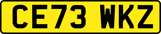 CE73WKZ