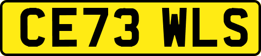CE73WLS