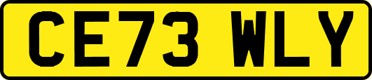 CE73WLY