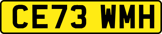 CE73WMH