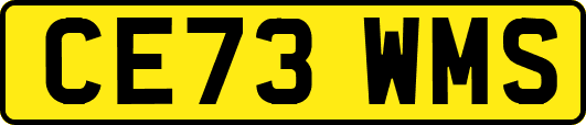 CE73WMS