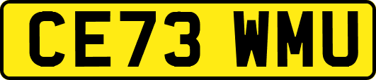 CE73WMU