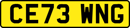 CE73WNG