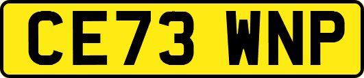 CE73WNP