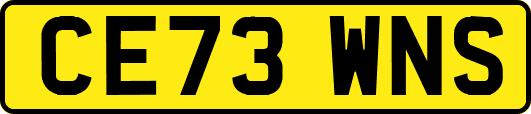 CE73WNS