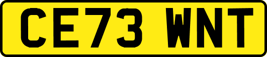 CE73WNT