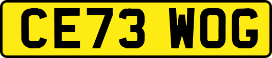 CE73WOG