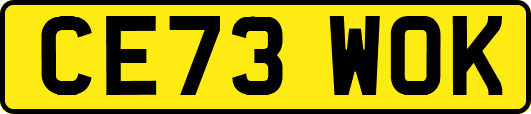 CE73WOK
