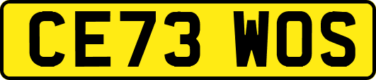 CE73WOS