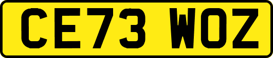 CE73WOZ