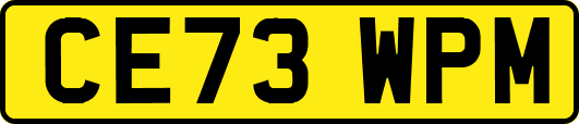 CE73WPM