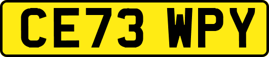 CE73WPY