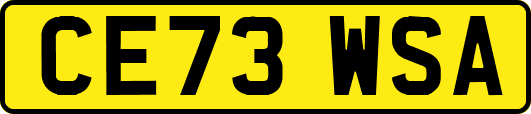 CE73WSA