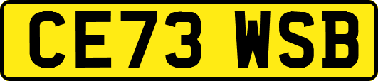 CE73WSB