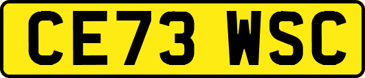 CE73WSC