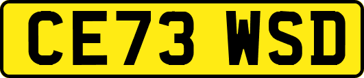 CE73WSD