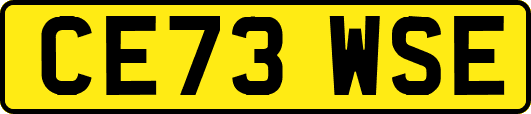 CE73WSE
