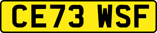 CE73WSF