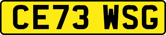 CE73WSG